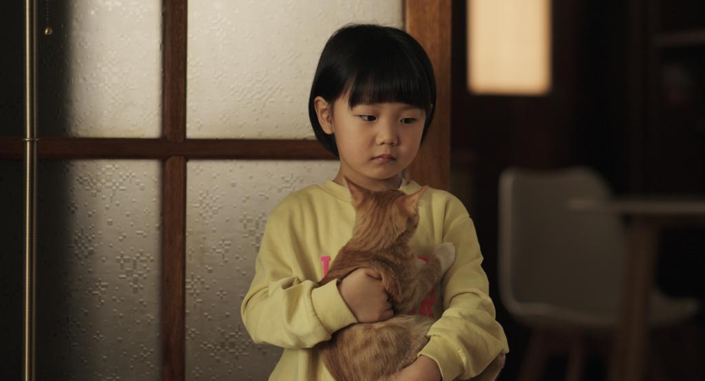  《跟着猫走遇见爱》 